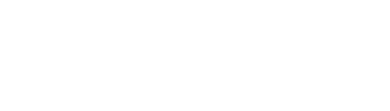 Experion Technologies
