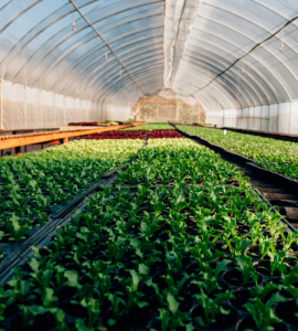 Agri-logistics management software for a hydroponic greenhouse farm