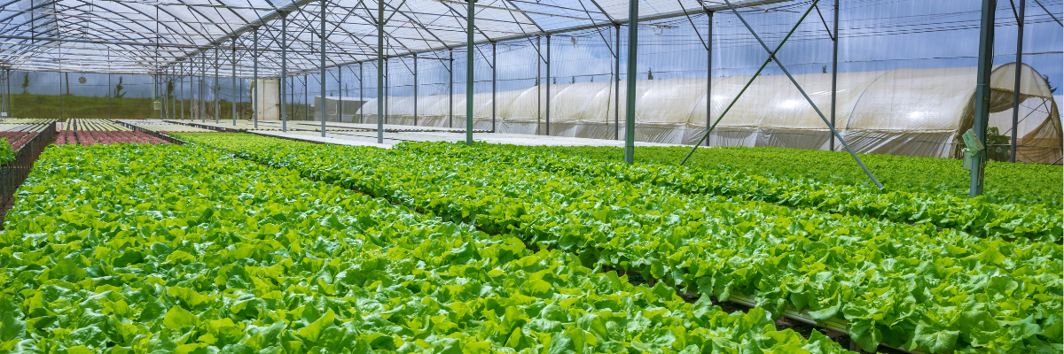 Agri-logistics management software for a hydroponic greenhouse farm