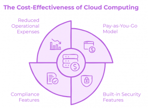 The Cost Effectiveness of Cloud Computing