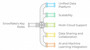 Key Role in Data & Analytics