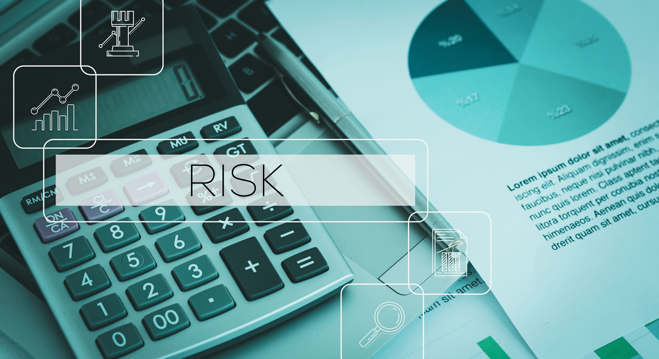 Financial Risk Management Software