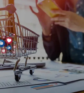 Ecommerce Platform Development