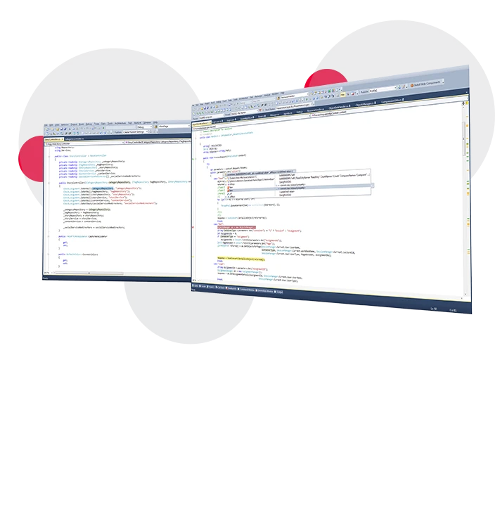 software development