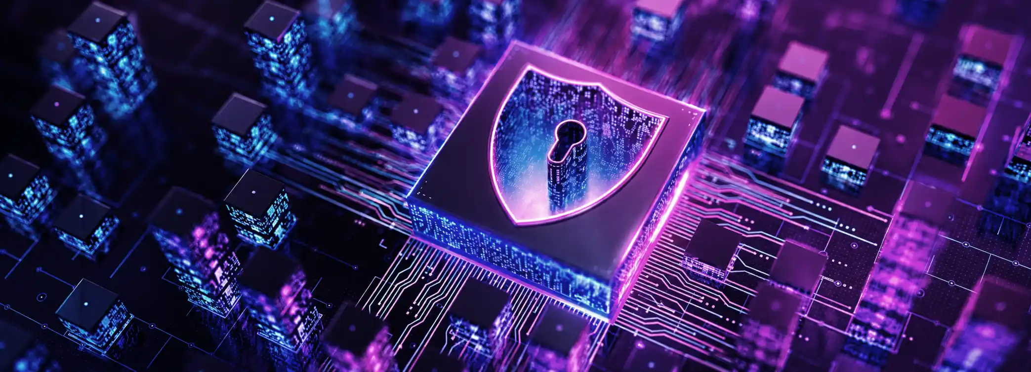 Automated Vulnerability Management
